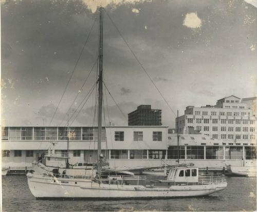 ARALLA around 1966