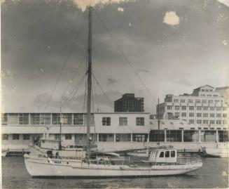 ARALLA around 1966