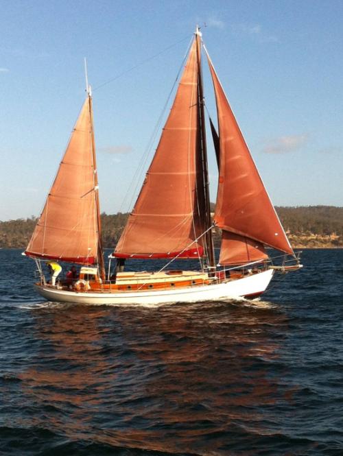 SAONA in 2015 