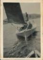 WILDFLOWER under sail
