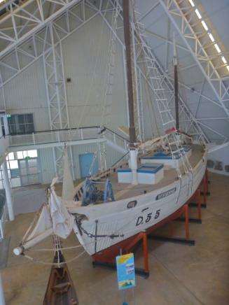 VIVIENNE on display at MAGNT in 2018