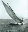 MAYA on Sydney Harbour sailing with SASC