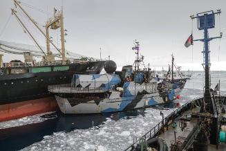 STEVE IRWIN in action in the Southern Ocean