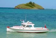 ALBATROSS on Lord Howe island in 2005.