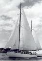 HURRICA V under Bermudian rig cruising off Obelisk Beach on Sydney Harbour in 1950.