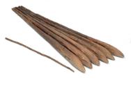 One section of a Bardi double raft and its pole from the North-West Kimberley region.