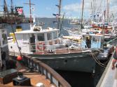 AVON pictured at the 2007 Australian Wooden Boat Festival