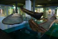 A collection of craft on display at the South Australian Museum