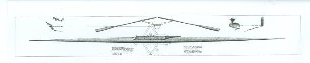A drawing of the STAR OF AUSTRALIA, with profile and plan views superimposed.