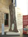 A rare example of how a piece of bark is taken from a tree to form a canoe, on display at the S…