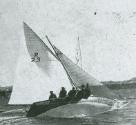 MILSONIA represented Victoria in the 1954 series on Sydney Harbour