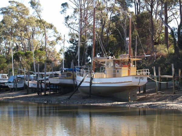 CURLEW at Port Sorell in Tasmania in 2005