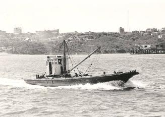 This image is credited as being PLUME in the 1970s and understood to have been owned by Strides…
