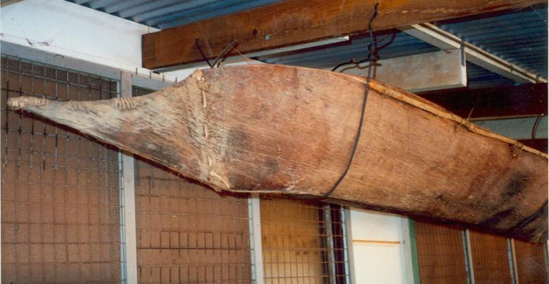 Bow view of the bark canoe on display in the Northern Territory before being acquired by the AN…
