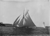 SAYONARA on Sydney Harbour, probably in the 1910s