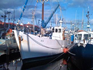 ANDREW HARDY in Victoria Dock, Hobart 2009