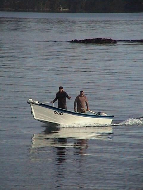 TACOMA FLATTIE in 2011 while touring Tasmania